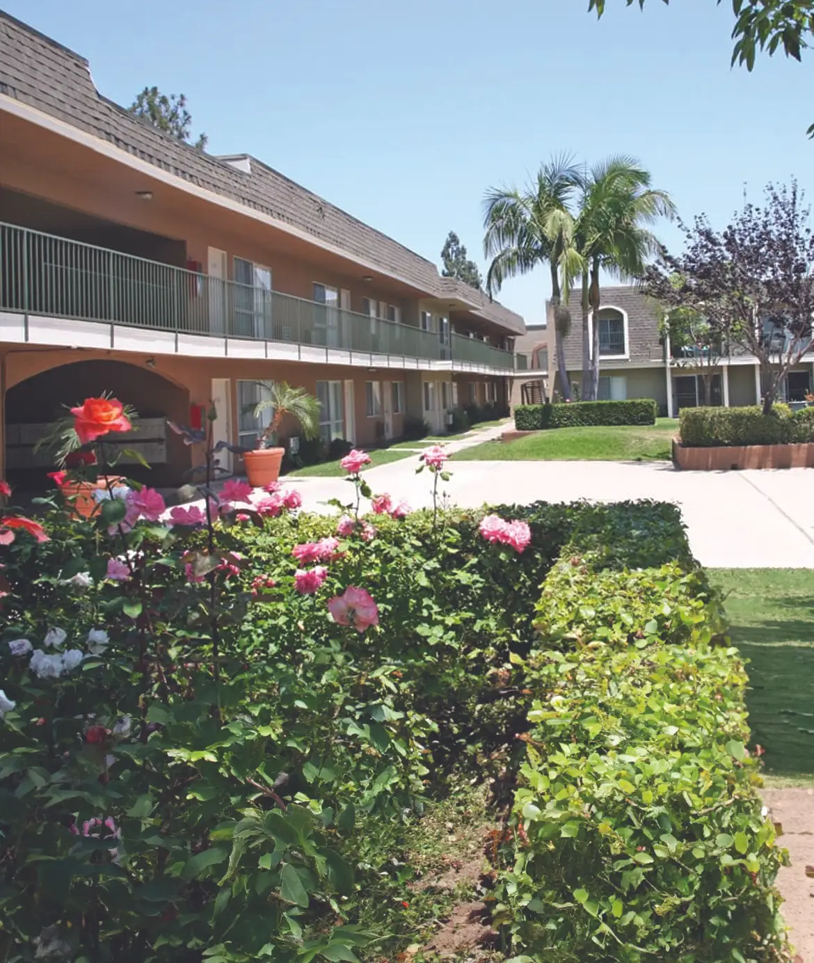 VM-HmPgHighlights-Community_1170px